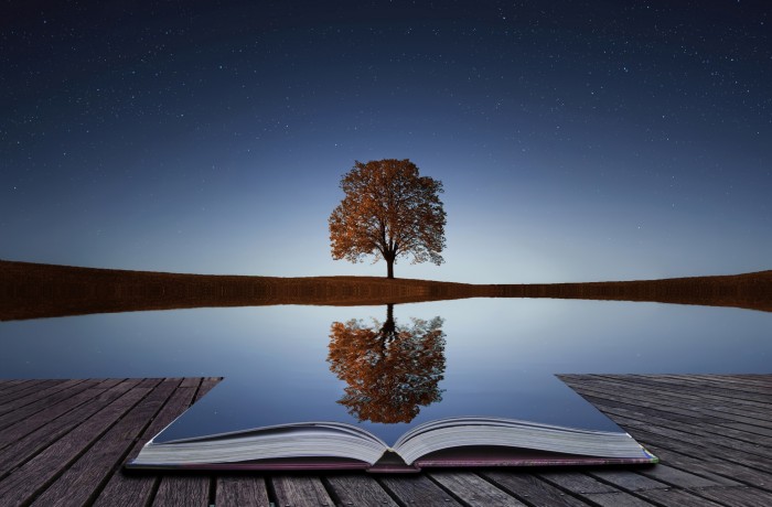 a-tree-reflection-in-water-book